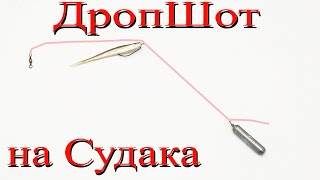 ДропШот монтаж на судака