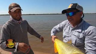 Disfrutando desde Esquina Corrientes pesca de grandes Dorados