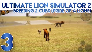 Ultimate Lion Simulator 2 Breeding Two Cubs to get a Pride of 4 Lions