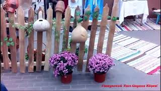 Фестиваль Вина 2015 Комрат, Гагаузия