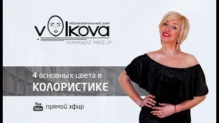 КОЛОРИСТИКА с Ларисой Волковой. Основные цвета в колористике перманентного макияжа.