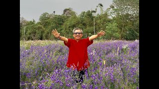 Gs.TSKH Bùi Quốc Châu - Kỹ thuật Tung Hoành Ngang Dọc Diện Chẩn