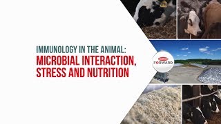Immunology in the animal: microbial interaction, stress and nutrition