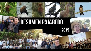 Resumen Pajarero | 2019