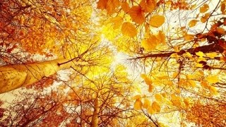 Геогргій Марчук казка "Чужое багацце"