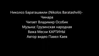 Николоз Бараташвили   Чинара
