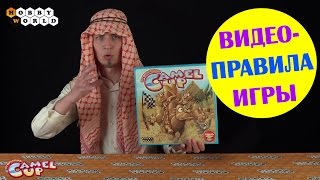 Настольная игра Camel UP — Правила игры