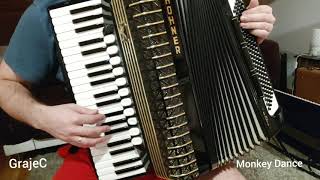TONES AND I - Dance Monkey (GrajeC ACCORDION cover)