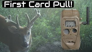 LOTS of Bucks!! | Setting Up Trail Cameras in Southern Iowa!