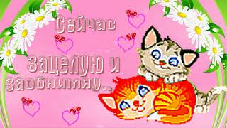 СЕЙЧАС ЗАЦЕЛУЮ И ЗАОБНИМЯУ ОТКРЫТКА ФУТАЖ