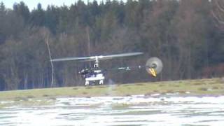 T-Rex 700 - Gerd's Zweitflug