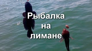 Рыбалка на лимане.