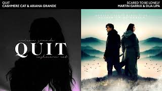 SCARED TO QUIT YOU - Ariana Grande & Martin Garrix Mashup