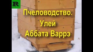 Пчеловодство  Улей Аббата Варрэ (Apiculture Beehive Abbot Varre)