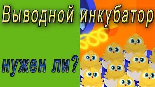 Выводной инкубатор.  Зачем нужен выводной шкаф?