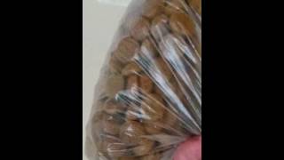 Allevamento di camole da miele