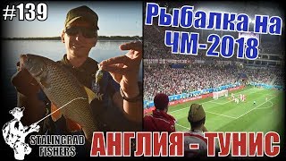 Рыбалка возле Волгоград Арены и матч Англия - Тунис (England - Tunisia)