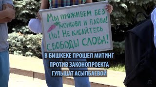 В Бишкеке прошел митинг против законопроекта Гульшат Асылбаевой