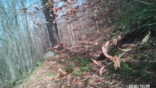 Bigfoot Expedition/10-2015/Canaan WV