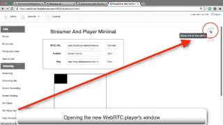 HTML5 RTSP WebRTC Player