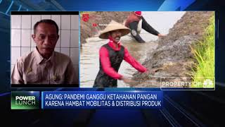 Bantu Petani Saat Pandemi, Kementan: Ayo Konsumsi Pangan Lokal!