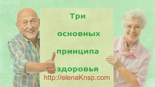 Здоровый образ жизни Принципы здоровья