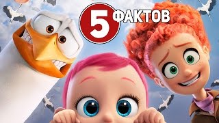 Аисты - ТОП 5 фактов о мультике 2016 Аисты приносят детей, а вы не знали?