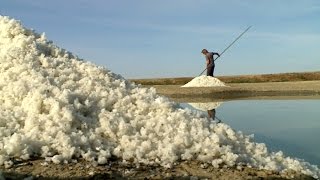 Les secrets du sel de Guérande