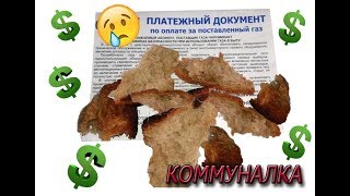??  Коммуналка в деревне Наша ЭКОНОМИЯ на ХЛЕБЕ  Сколько стоит собственный хлеб