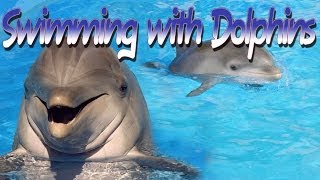 Mariah Milano Swimming with Dolphins in Curacao