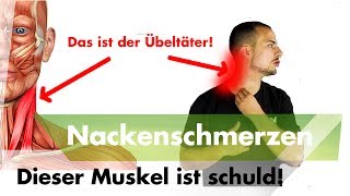Nacken- und Kopfschmerzen | Löse JETZT diesen Muskel!