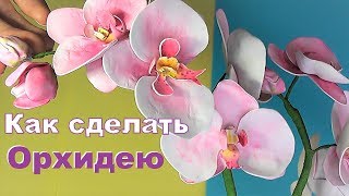 ОРХИДЕЯ своими руками / Мастер-класс из фоамирана