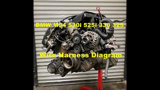 BMW M54 Engine Wire Harness Diagram 525i 325 X5 Part 2