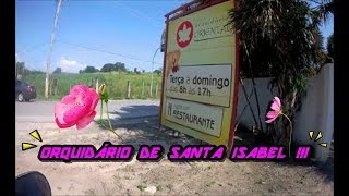 TÉNÉRÉ - 250 Encontrei um orquidário em Santa Isabel Sp