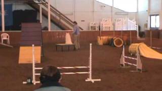 American Eskimo Agility Koury, Wachusett's Silent Watch OA, AXJ, NF