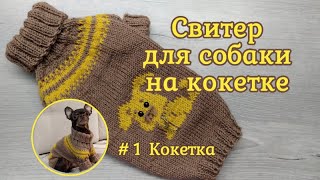 Свитер для собаки на круглой кокетке спицами, #1
