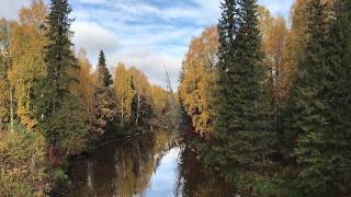 осень в Западной Сибири России ,река Эсс.