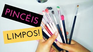 COMO LAVAR OS PINCEIS | NATASHA OLIVEIRA