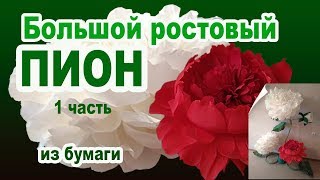 ВИДЕОУРОК 1часть БОЛЬШОЙ РОСТОВЫЙ ПИОН.ARTdeko.