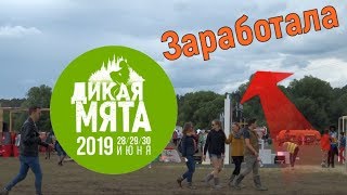 Я посетила фестиваль Дикая Мята и заработала