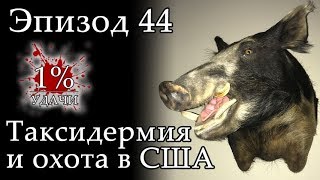 1% УДАЧИ. Эпизод 044: Таксидермия и охота в США