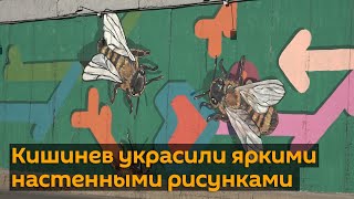 Видео – Кишинев украсили яркими настенными рисунками