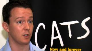 CATS in Dubai