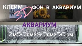 Фон 3D Juwel в аквариум на 750 литров. Часть 13.