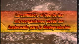 Biorremediación CFE Una Tecnica Amigable Al Ambiente Y El Hombre