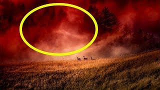 Необъяснимое явление. Кровавый туман. Как вам такое?!