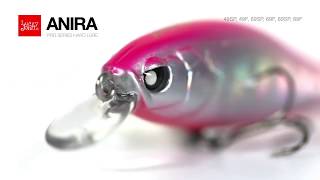 Fish Porn, Lucky John VIB and Anira 69!