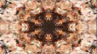Stuff They Don't Want You to Know - DMT