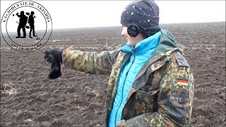 КОПАЕМ НА СТАРЫХ МЕСТАХ. ДОБИВАЕМ ПОЛЕ. Кладоискатели - Украина! Коп 2020.