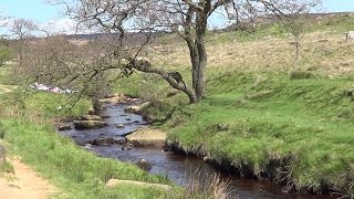 The Solitary Rambler 19: Lamentation in Longshaw (Longshaw and Padley Gorge)